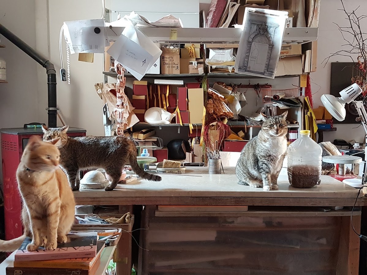 Three cats in Salvatore Troiano’s studio