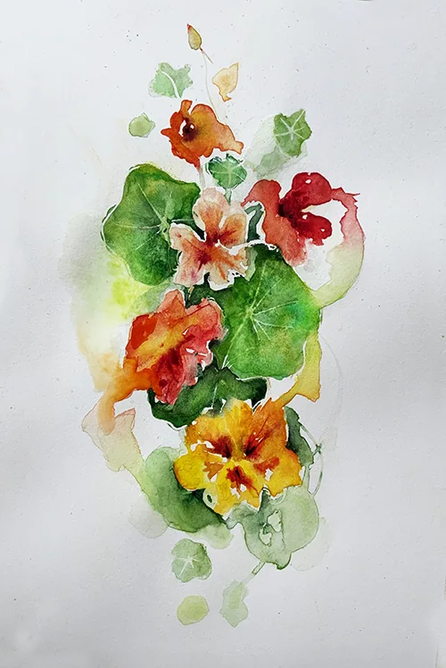 Nasturzi, full artwork